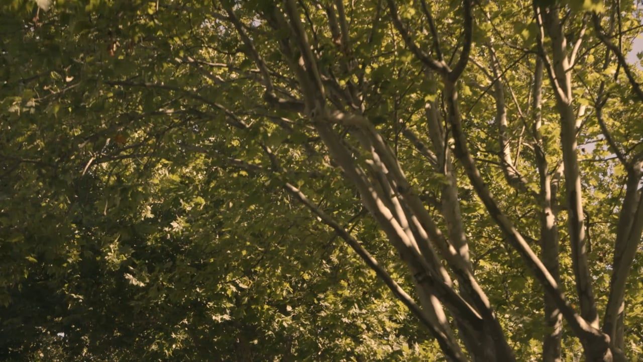 Fellowship video