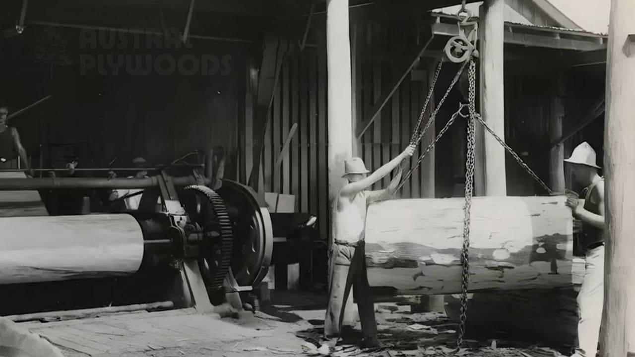 Austral Plywoods Celebrates 100 Years