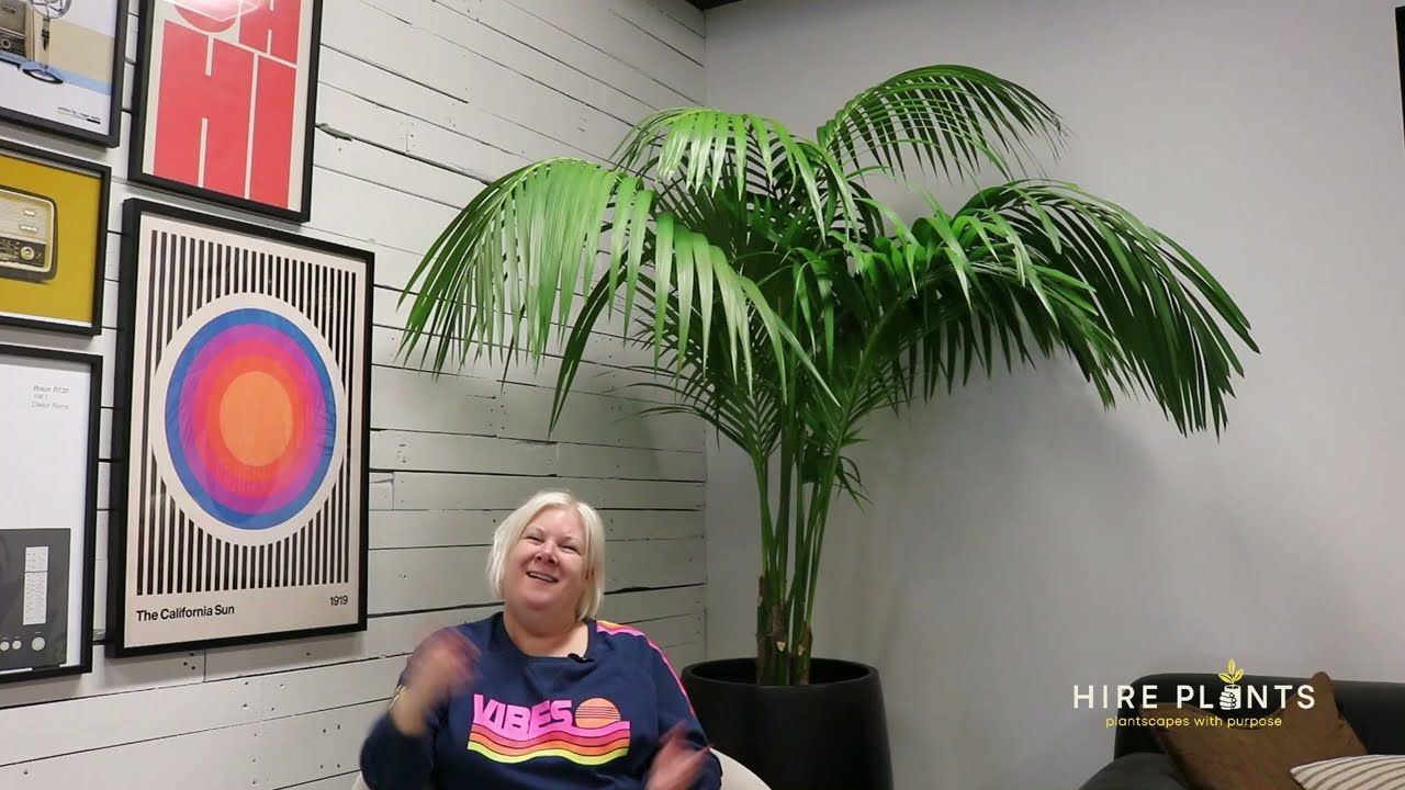 Podlab - Case Study