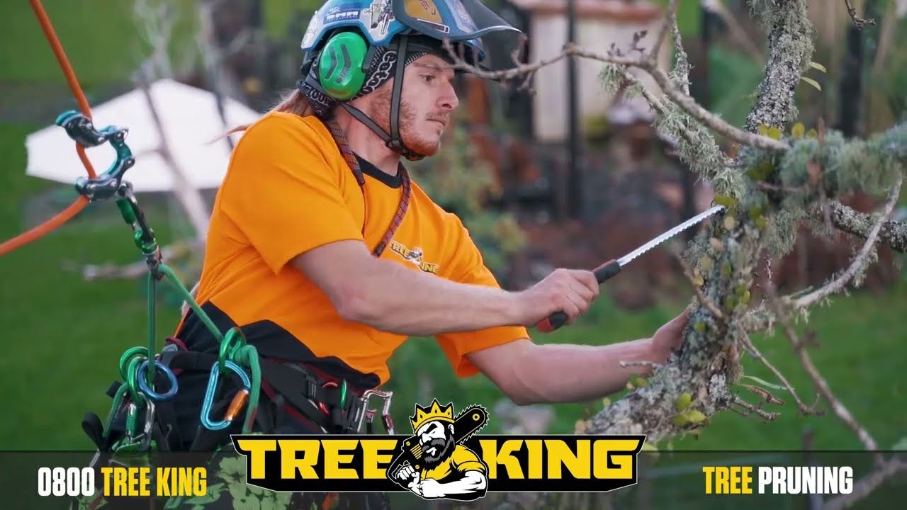 Tree Cutting Services We Offer
