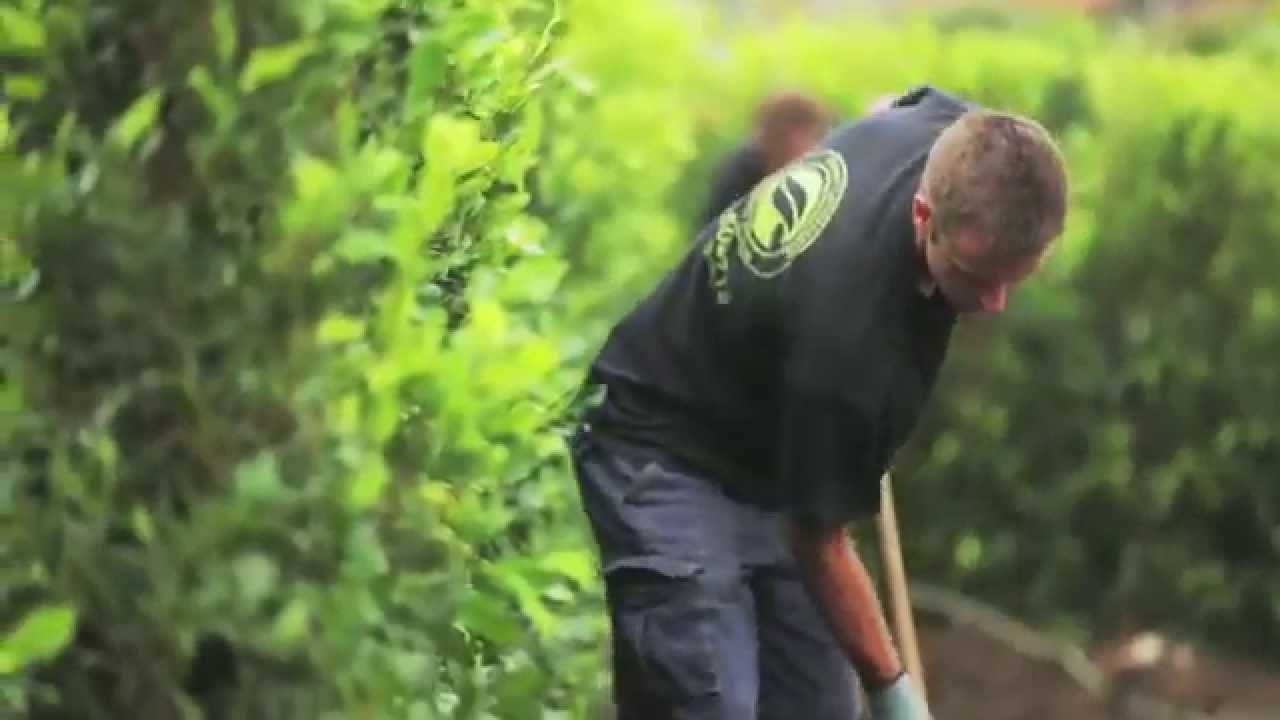 Living Walls™ Instant Hedge Installation Video