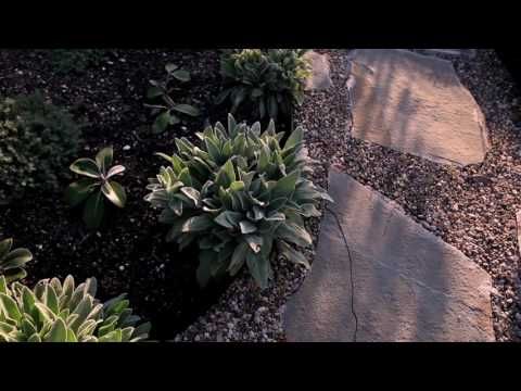Kingsland Natural Garden video