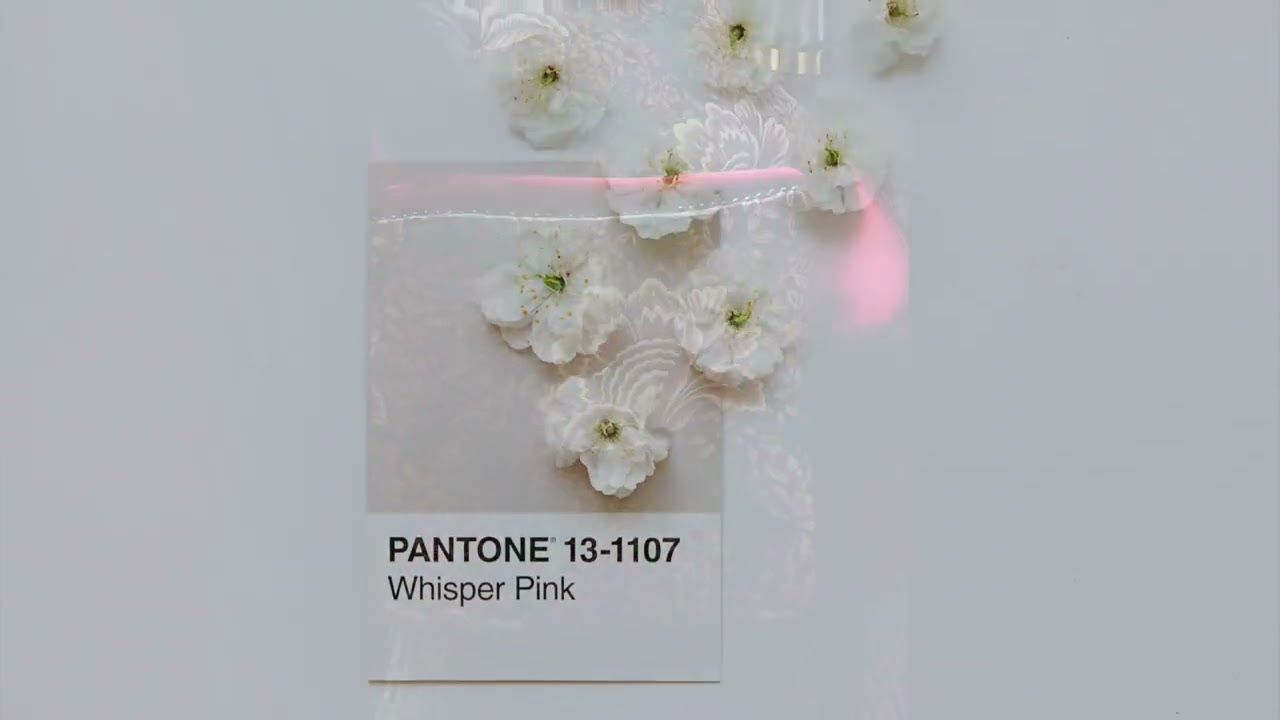 Guthrie Bowron - Winter Garden Range AW21