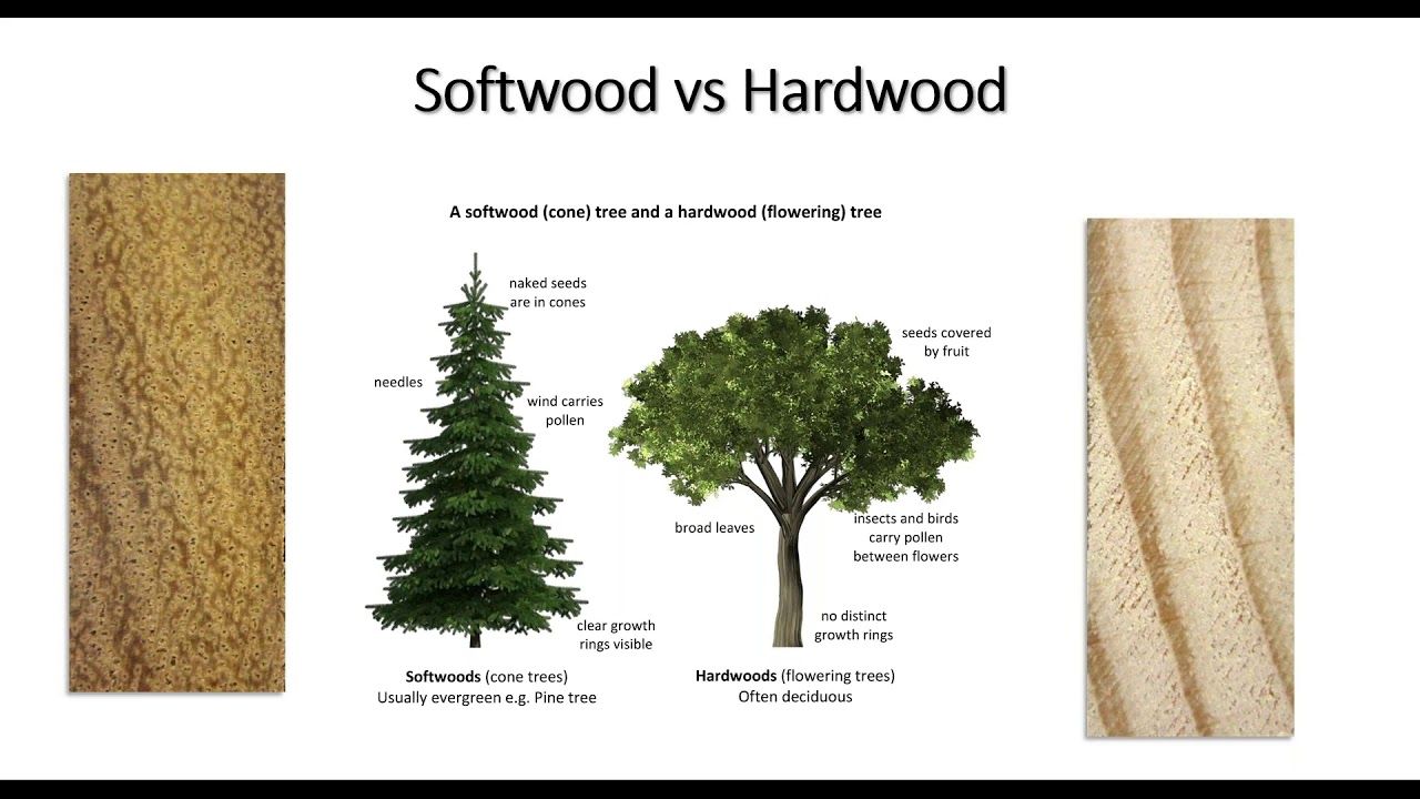 Resene – Timber The protection of Wood by use of Coatings