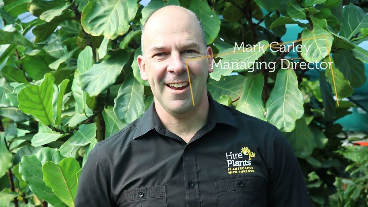 Welcome to Hire Plants!