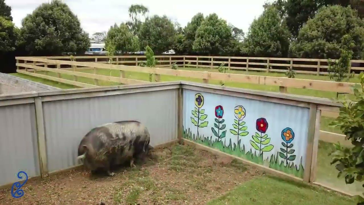 Manurewa Intermediate video
