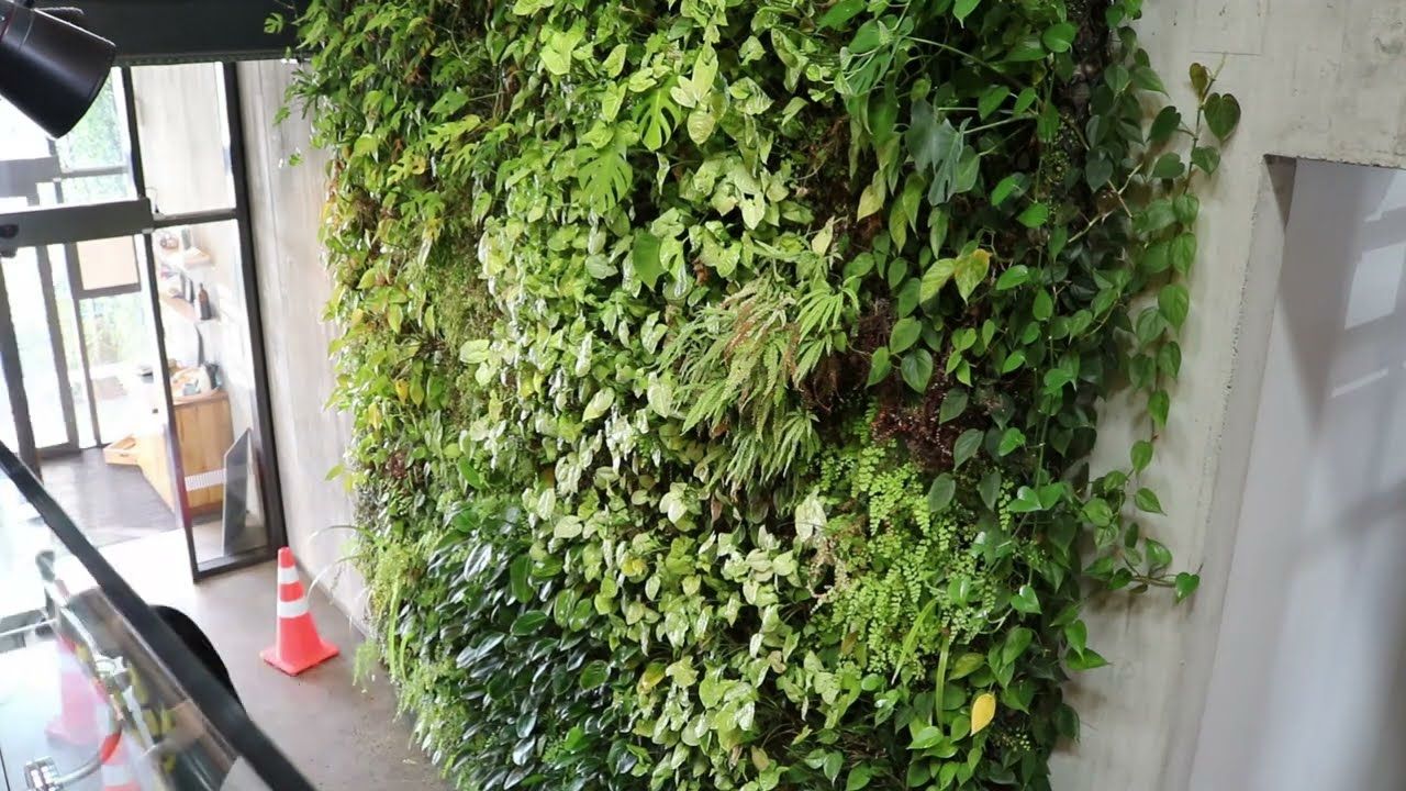 Ceres Organics - plant wall maintenance at height video