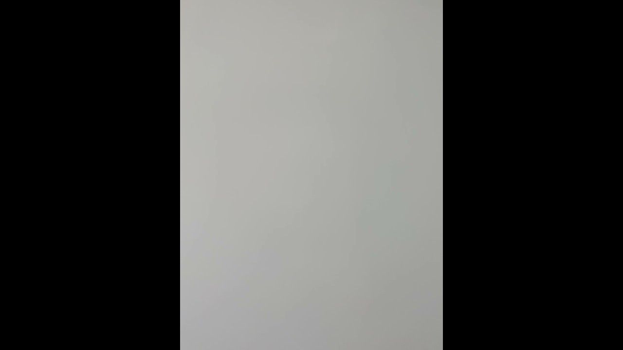 295 Victoria ave video