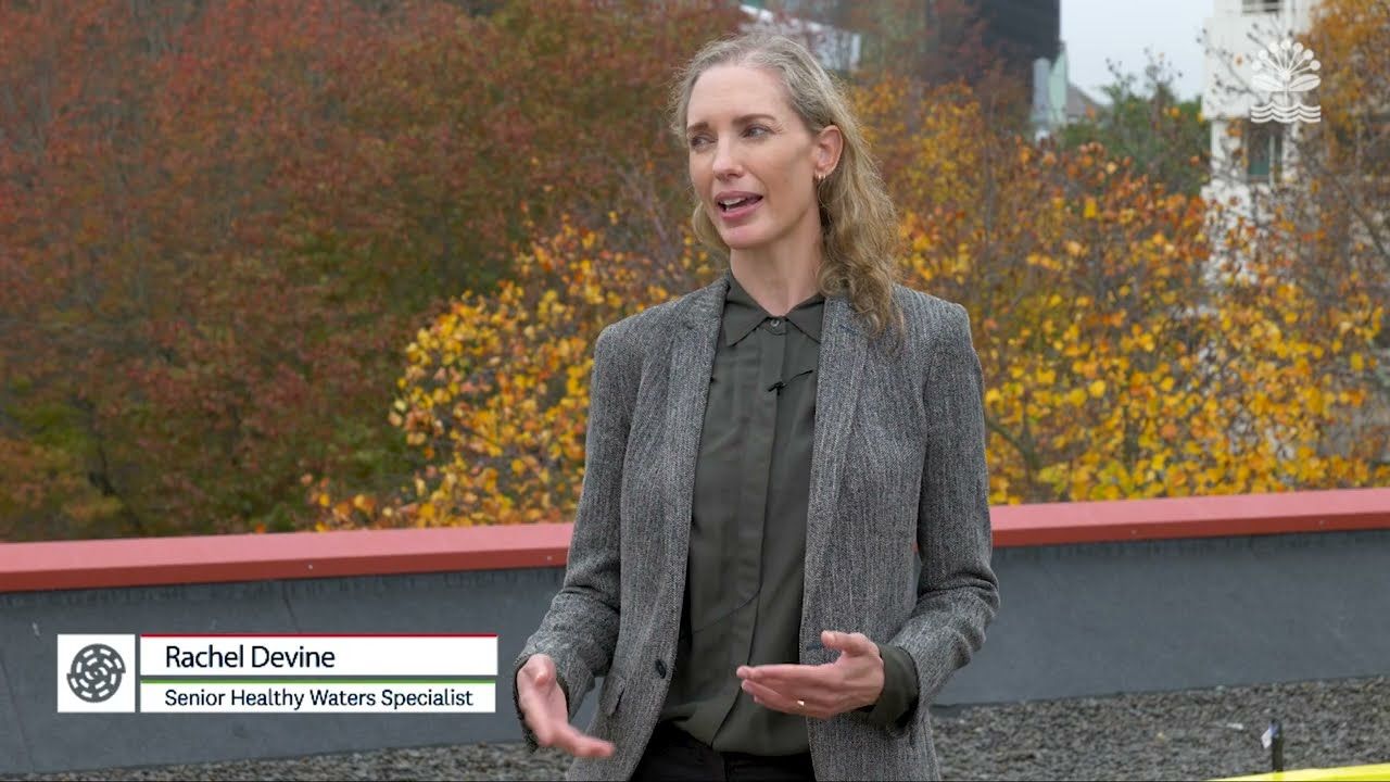 Discover the significance of the Auckland City Library Green Roof
