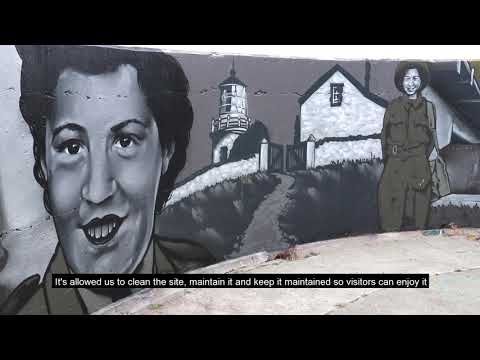 Godley Head Transformation: DOC and Dulux Partnership video