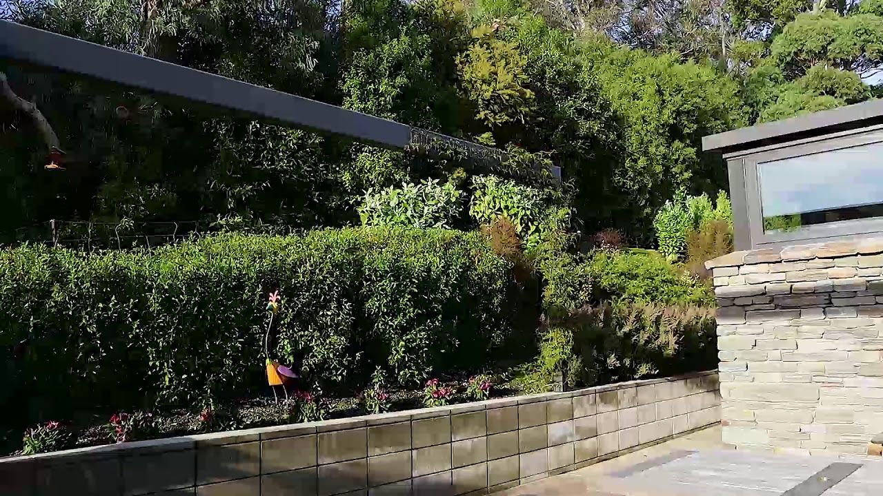 Chisholm Garden video