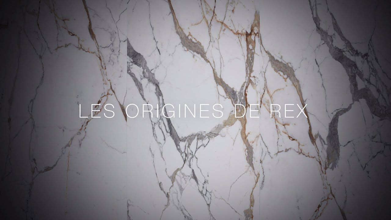 Origines de Rex