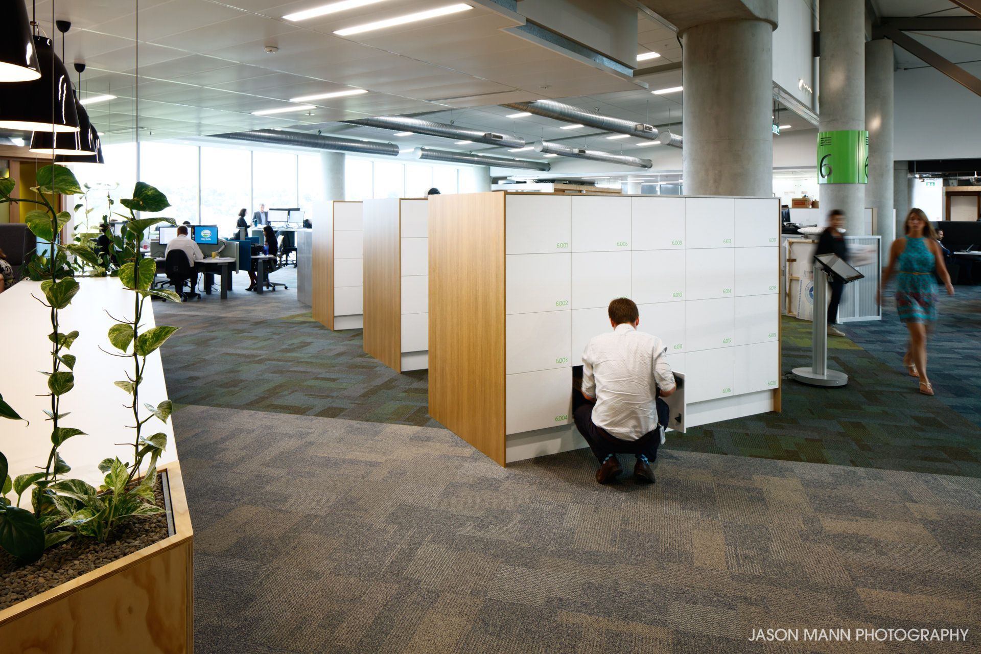 Fonterra, Auckland