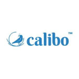 Calibo Lighting & Ceiling Fans
