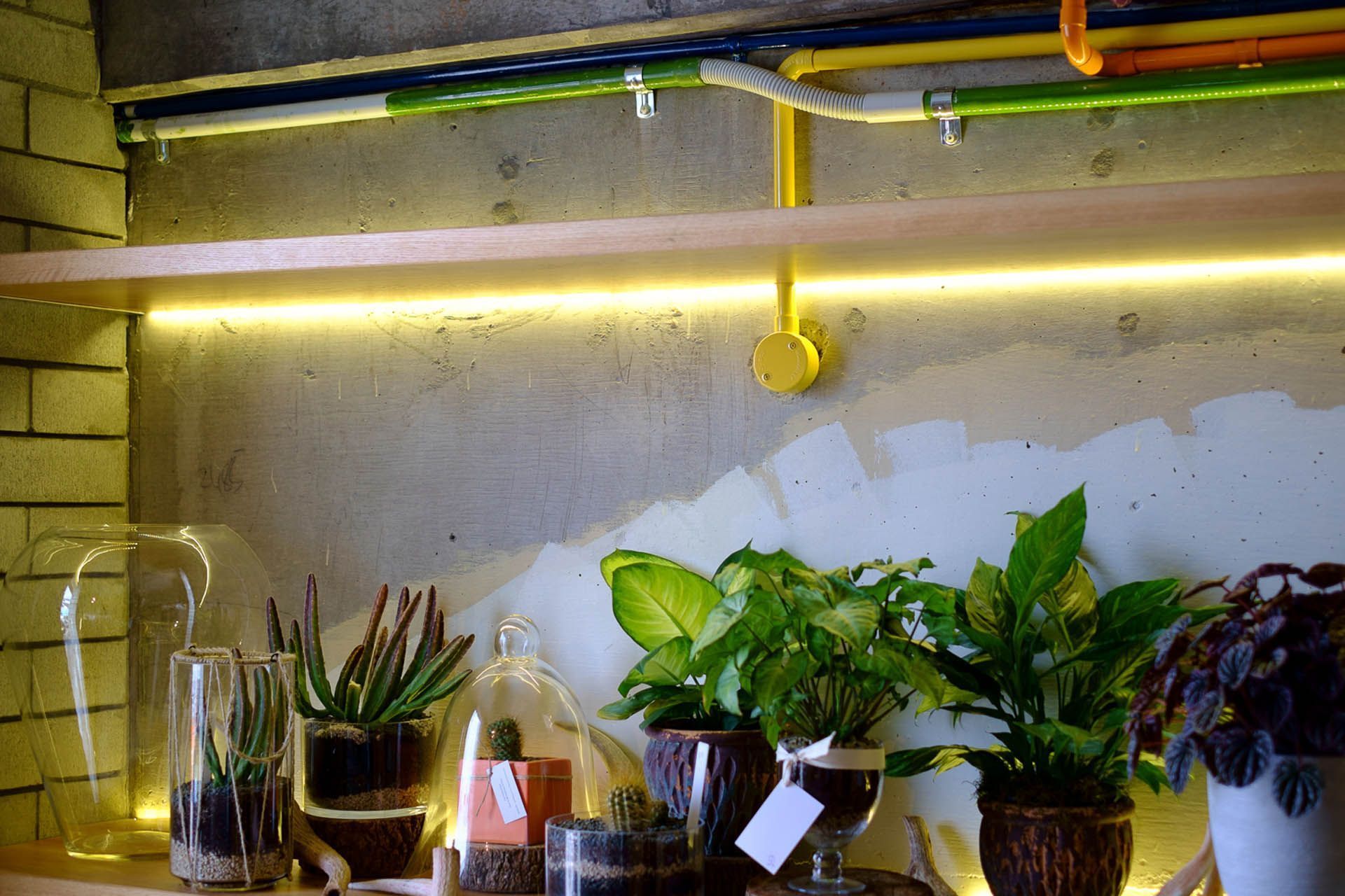 The Botanist