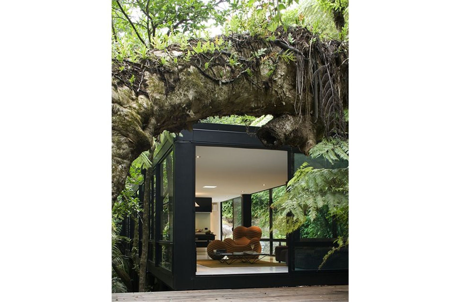Forest House