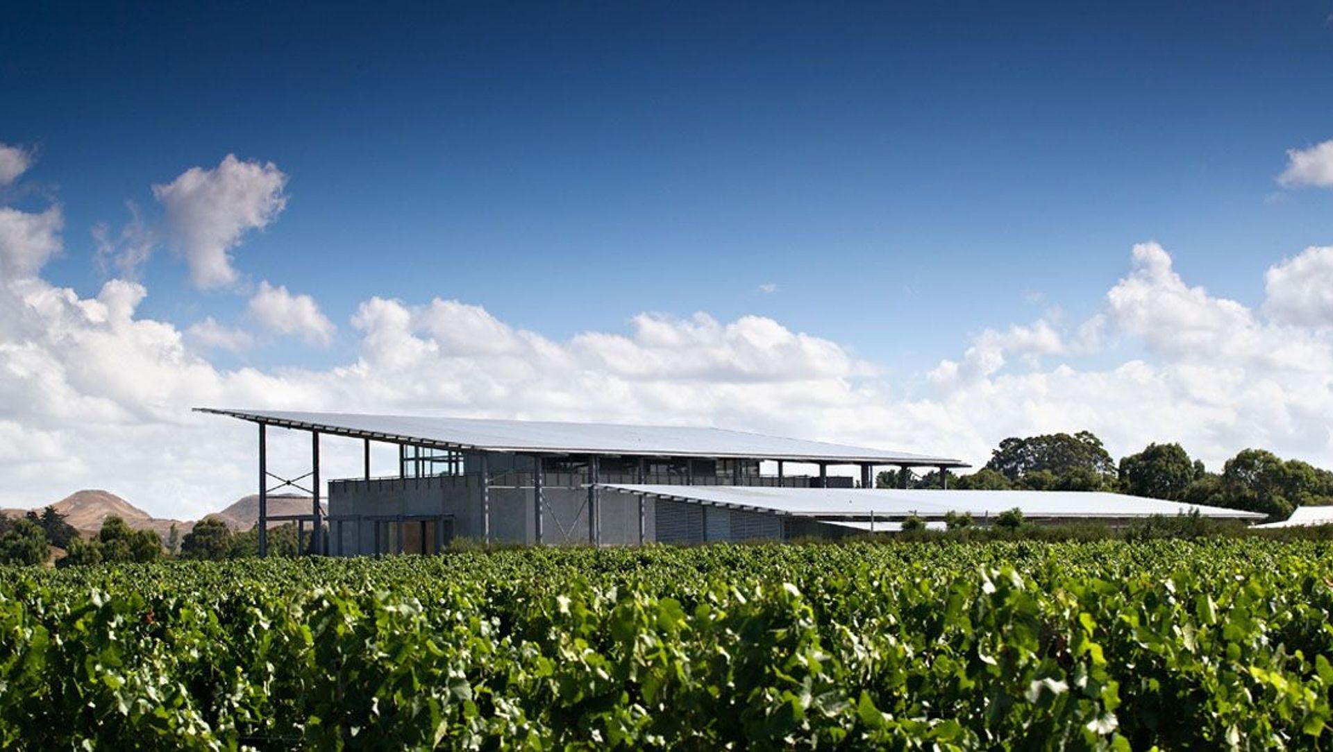Paritua Winery banner