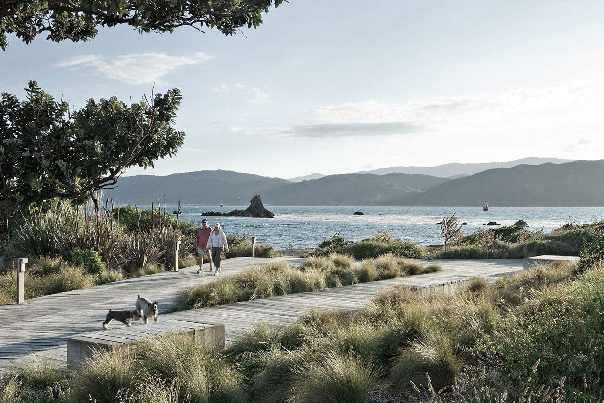 The Waterfront Seatoun