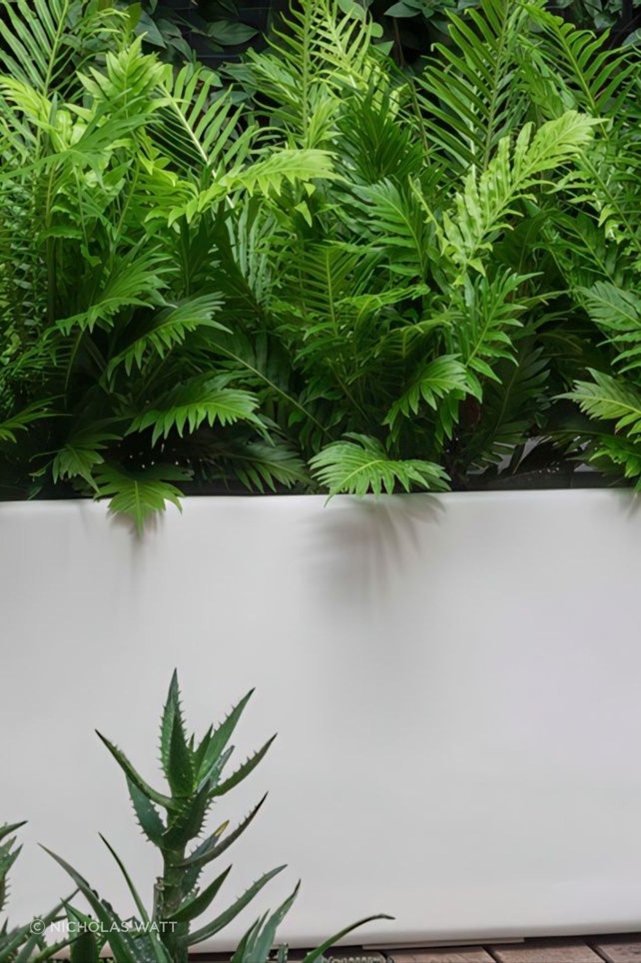 30610a93132b-beauty-meets-functionality-1-77dbd4935x536cropcenter-gigapixel-low-resolution-v2-18x.jpeg