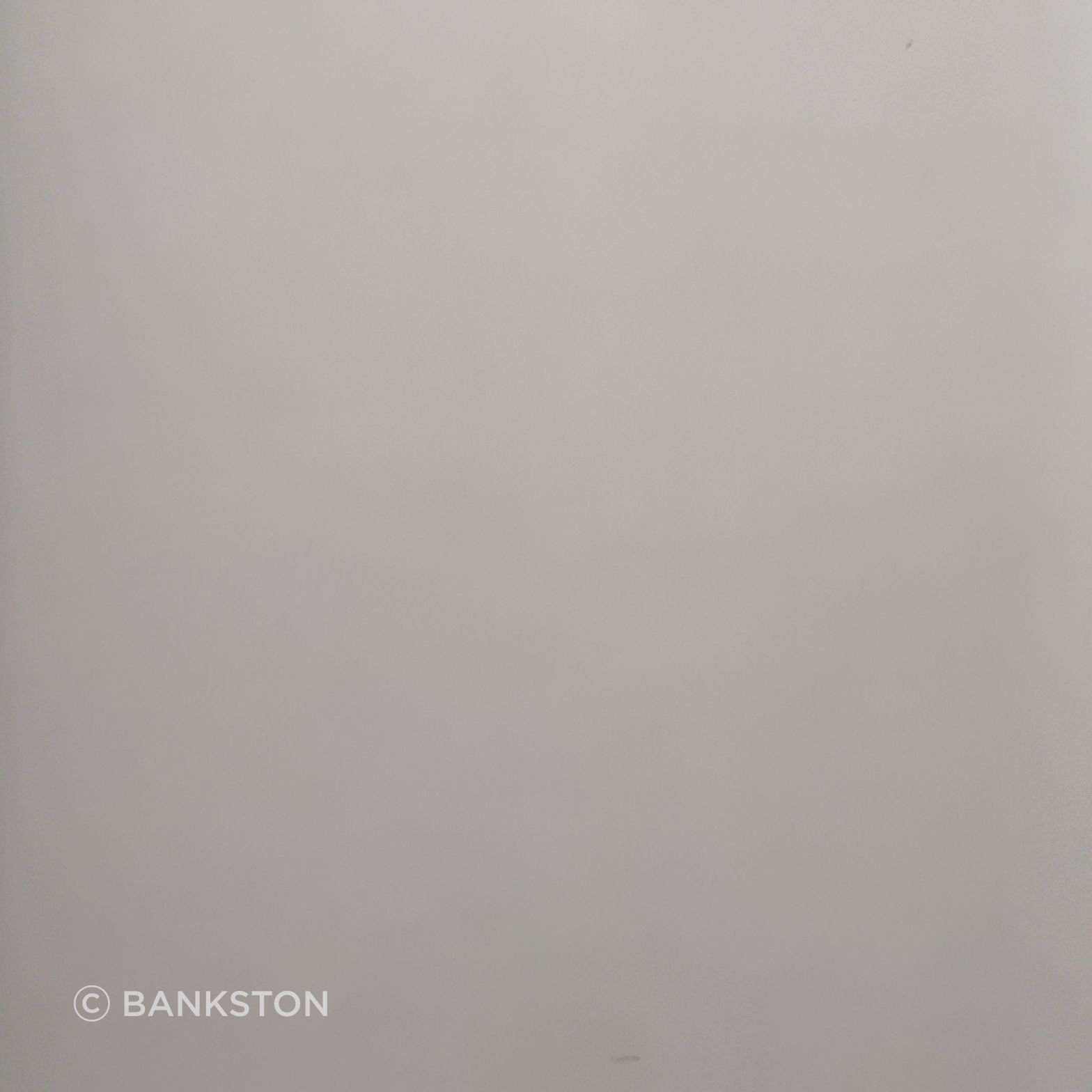 Smooth Nickel
