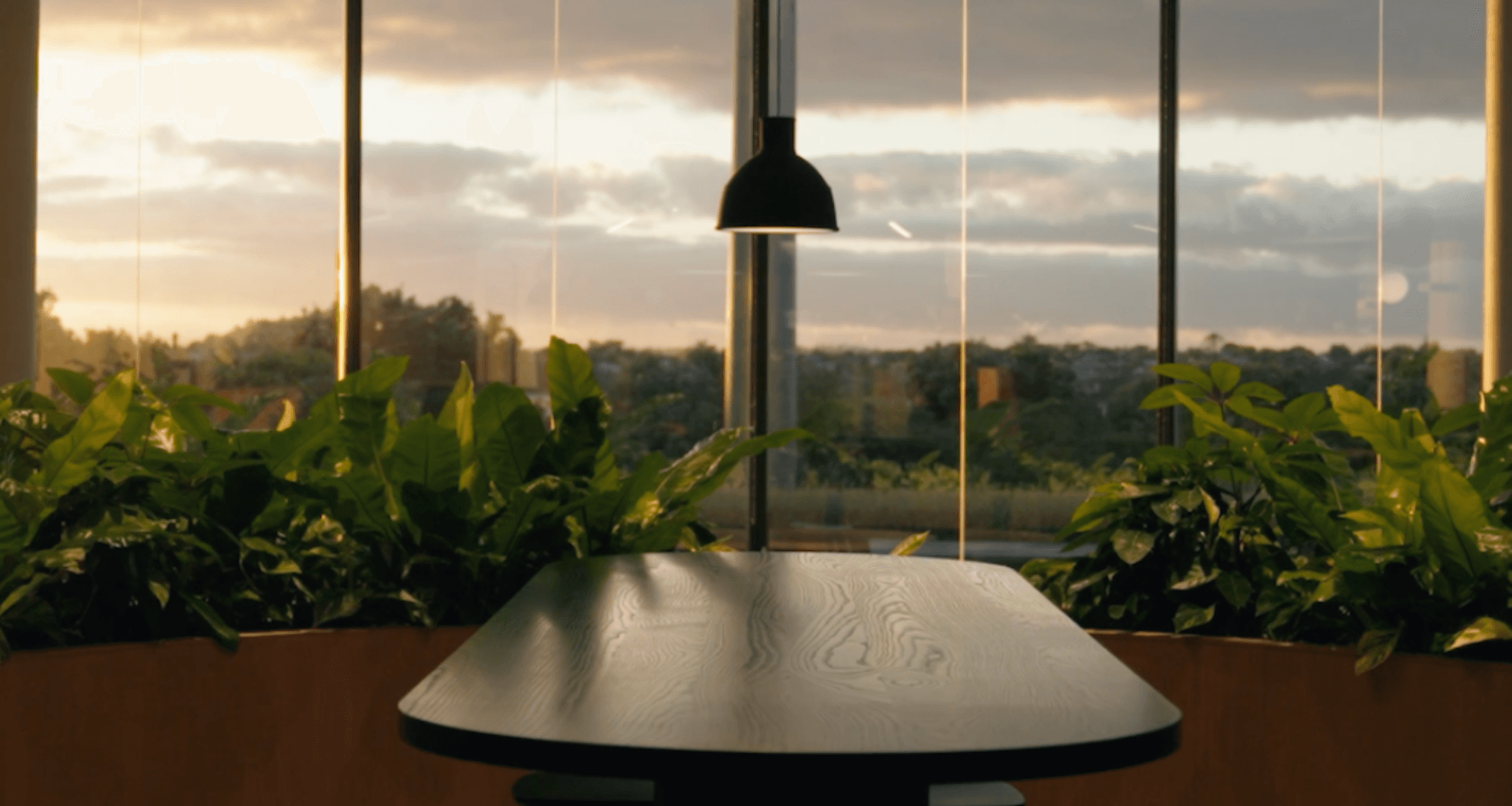 The Warehouse Group engaged GreenAir to deliver extensive planting in their head office.