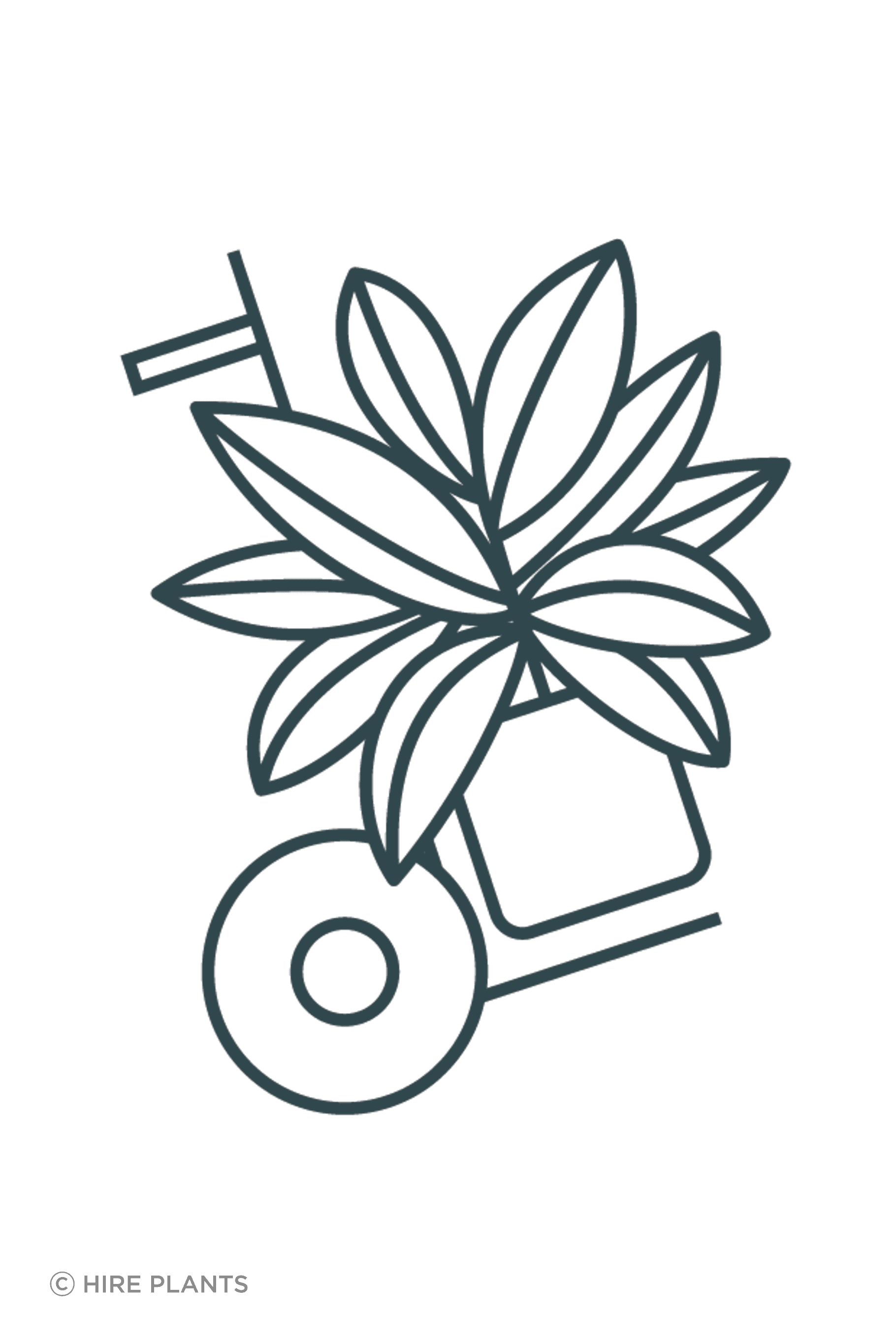 HP-Icon-Install-RGB-FGreen.png