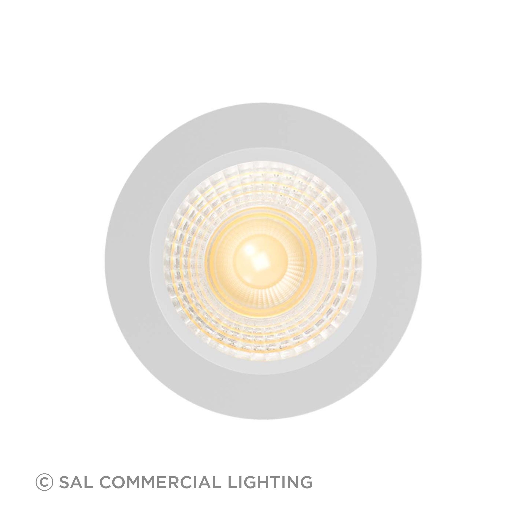 Hamilton-recessed-downlight-2.jpg