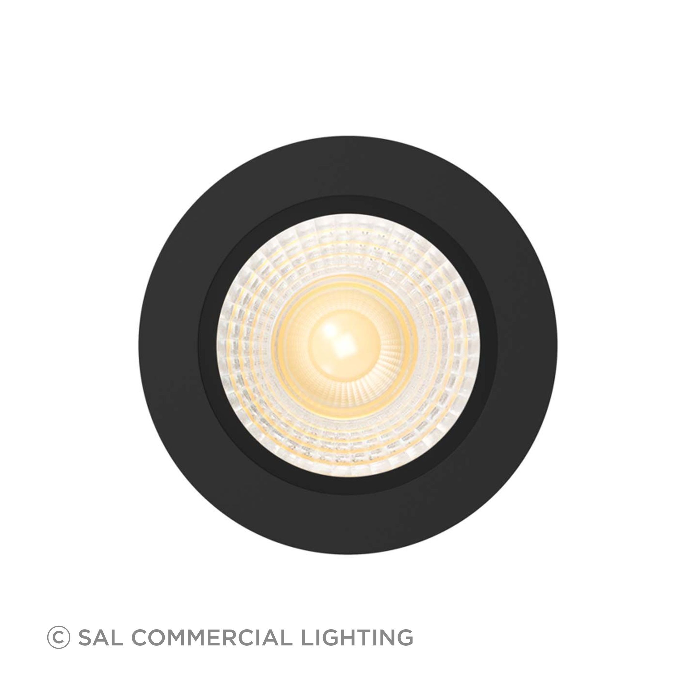 Hamilton-recessed-downlight-3.jpg