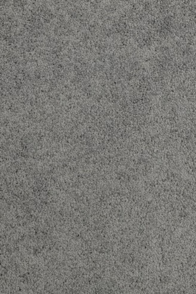 Alton nylon cut pile carpet by Andersons Floor Coverings