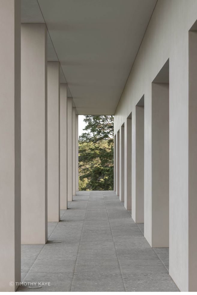 A rhythmic colonnade frames the surrounding trees, turning circulation into a measured sequence of enclosure and outlook.
