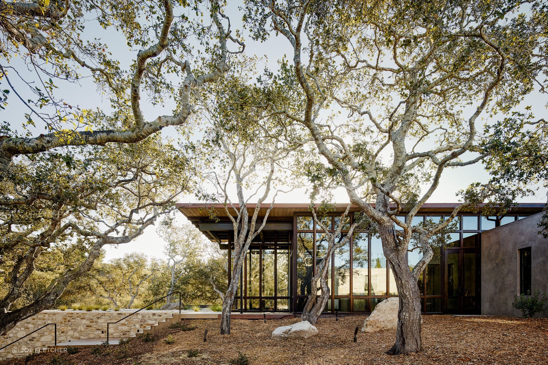 Tehama One: Studio Schicketanz organized the design of this house around a centrally cleared knoll and prioritized outdoor space, producing a deep exploration into the ways in which a structure can merge with and arise from a very specific ecological language.