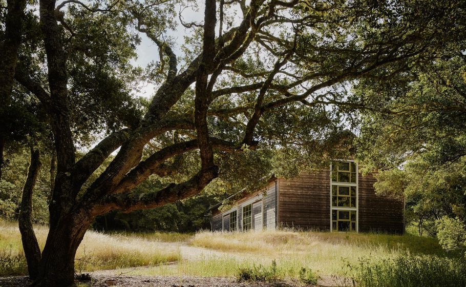 An Architect Fluent in Place
