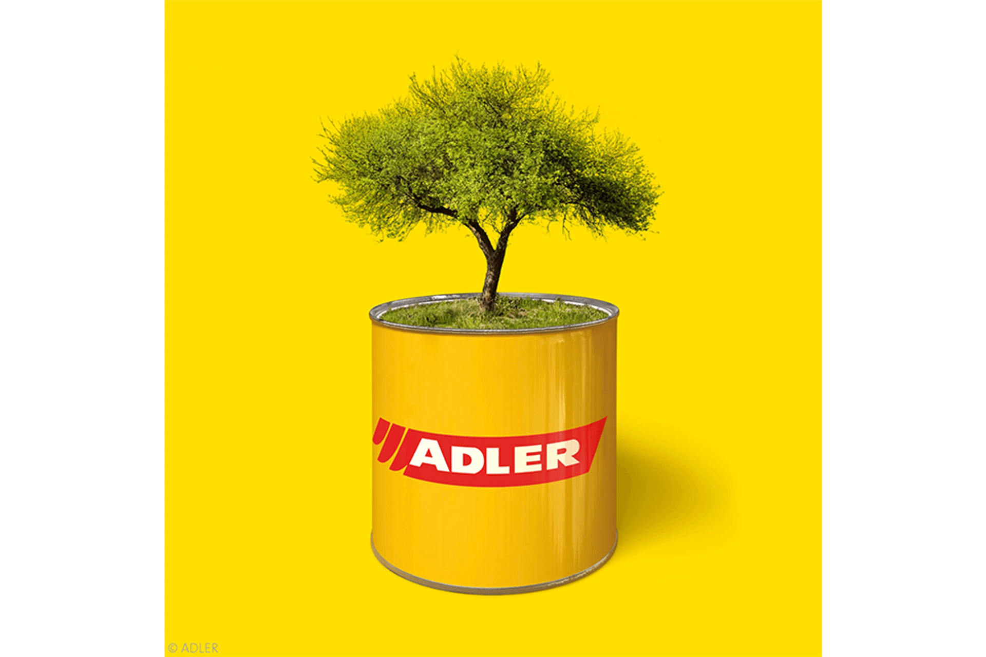 ADLER-Archipro.png