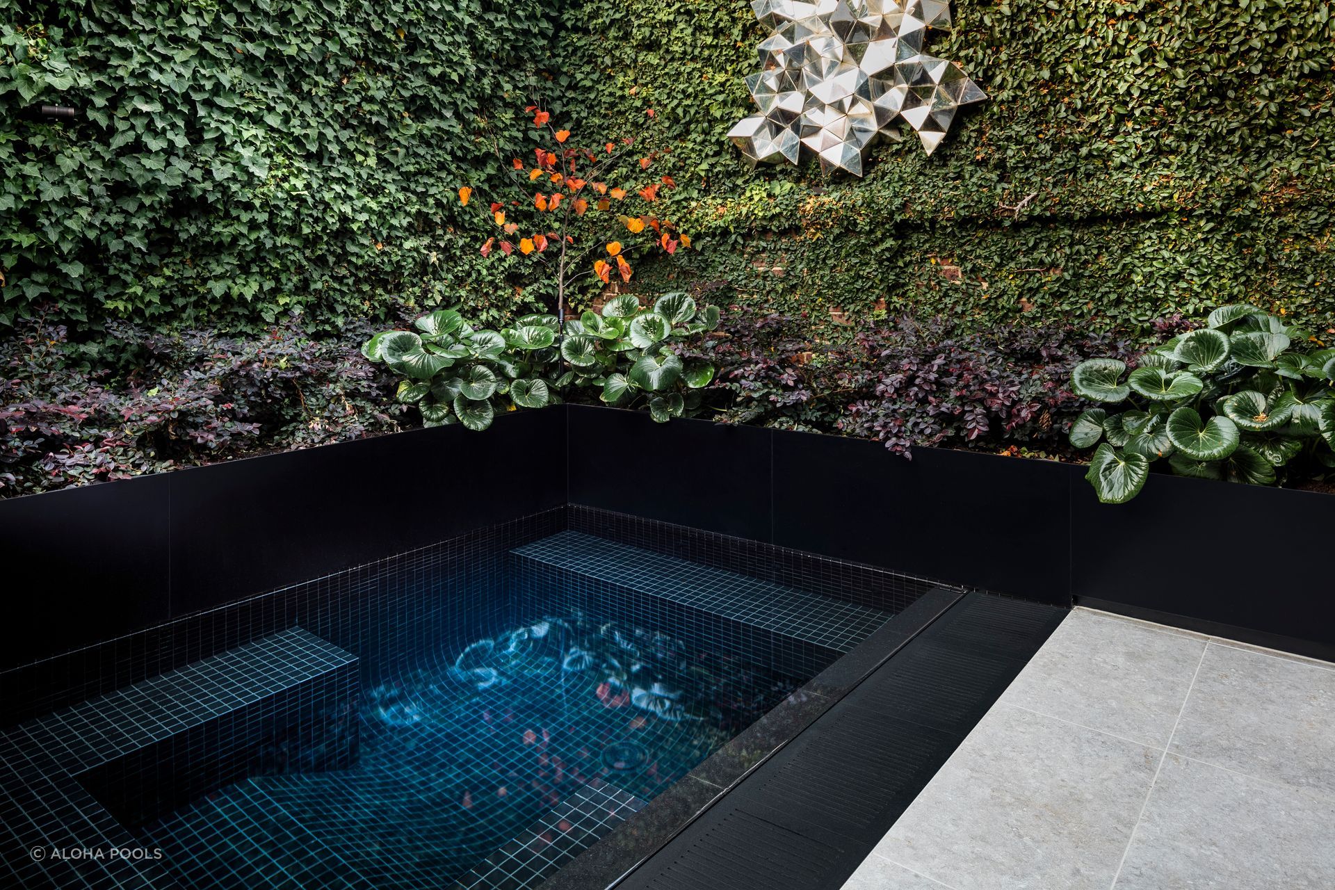 Featured project: Black.