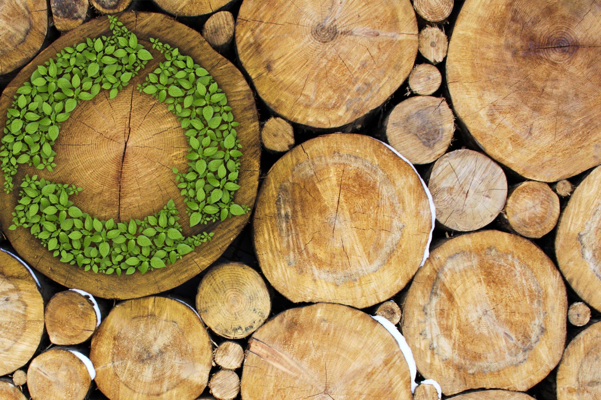 Eco Labels and Reclaimed Wood: The Different Faces of the Sustainable Timber Flooring Industry