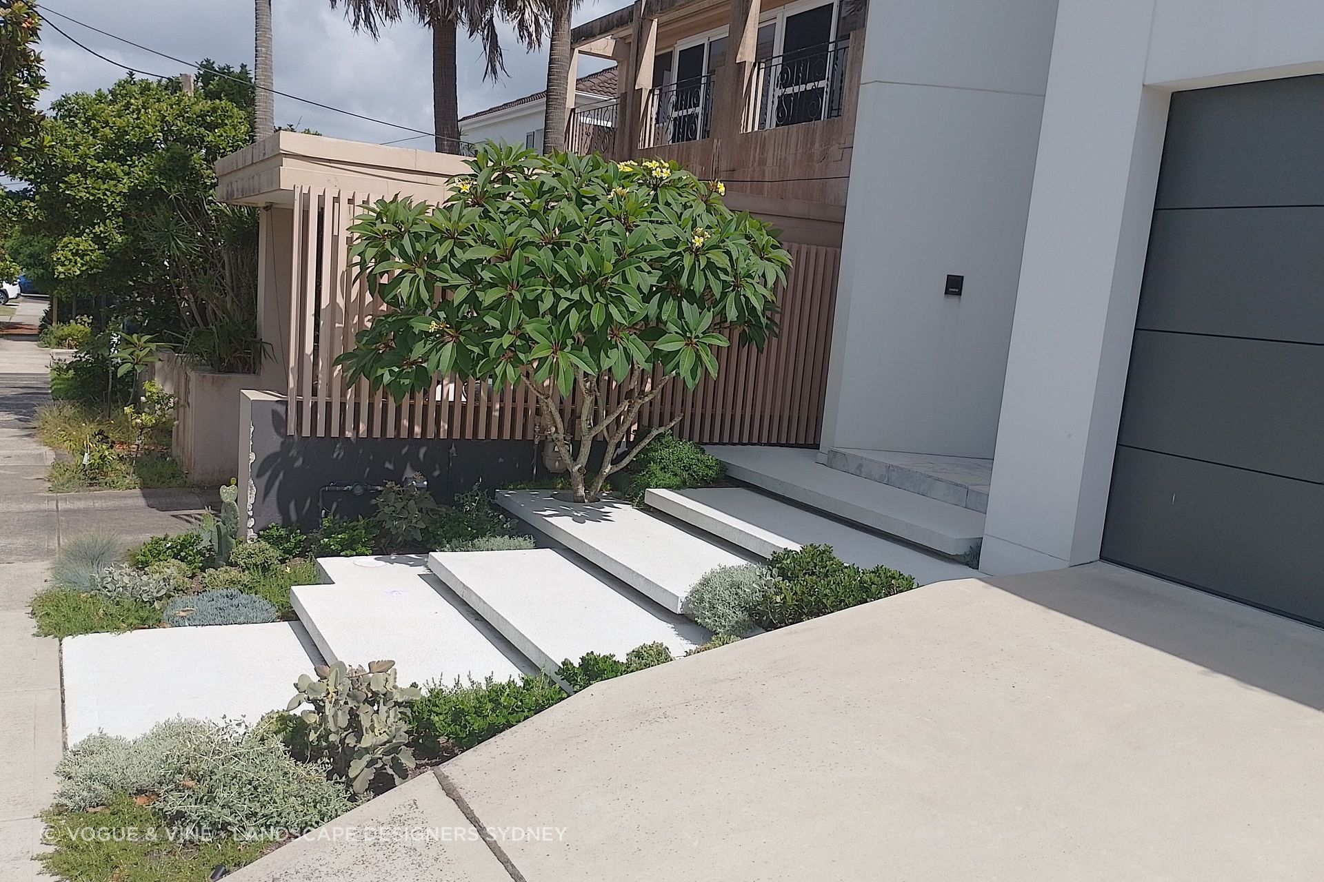 Front-garden-design-Sydney-Vogue-Vine.jpg