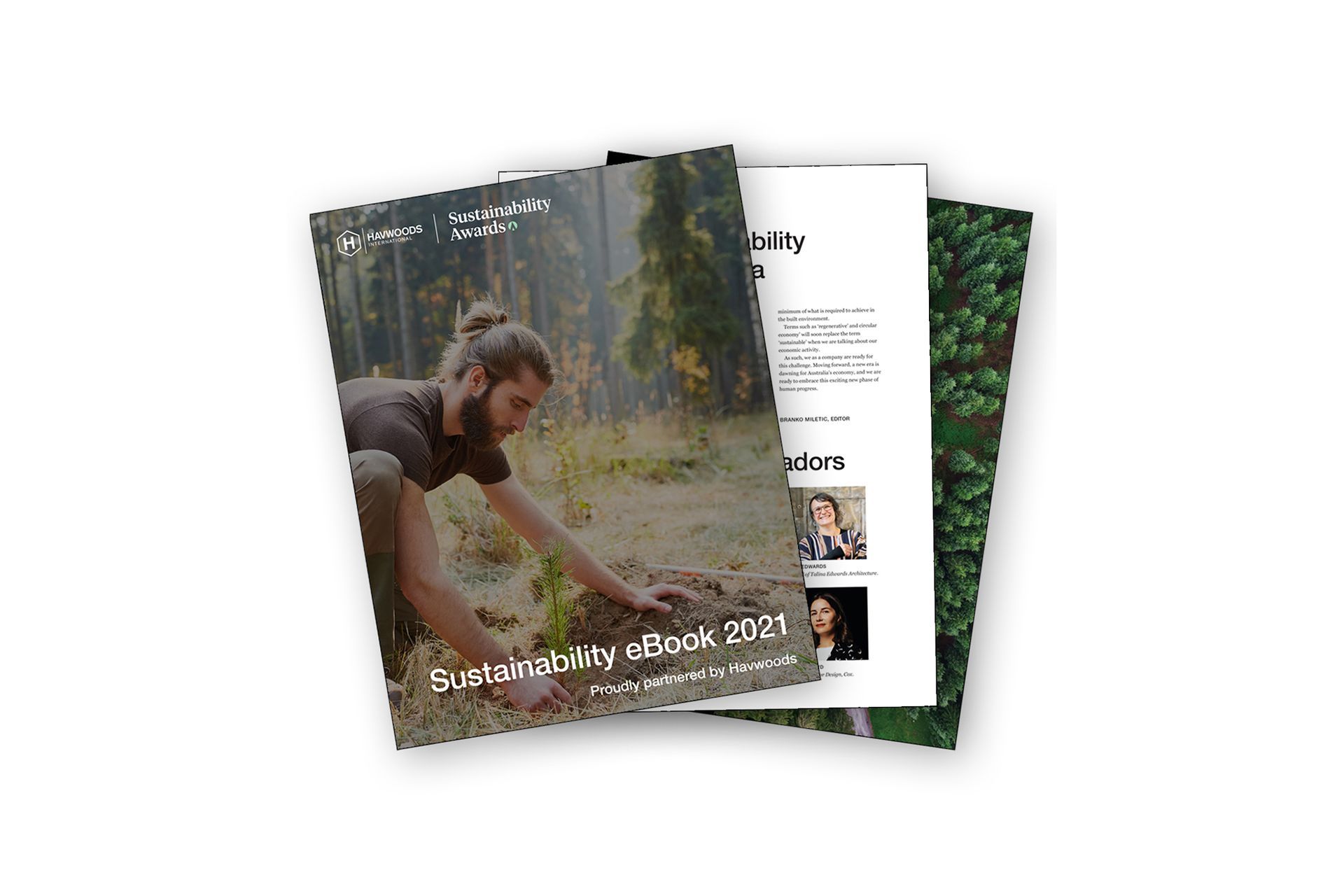 Havwoods Leads the Way in Sustainable Timber Flooring