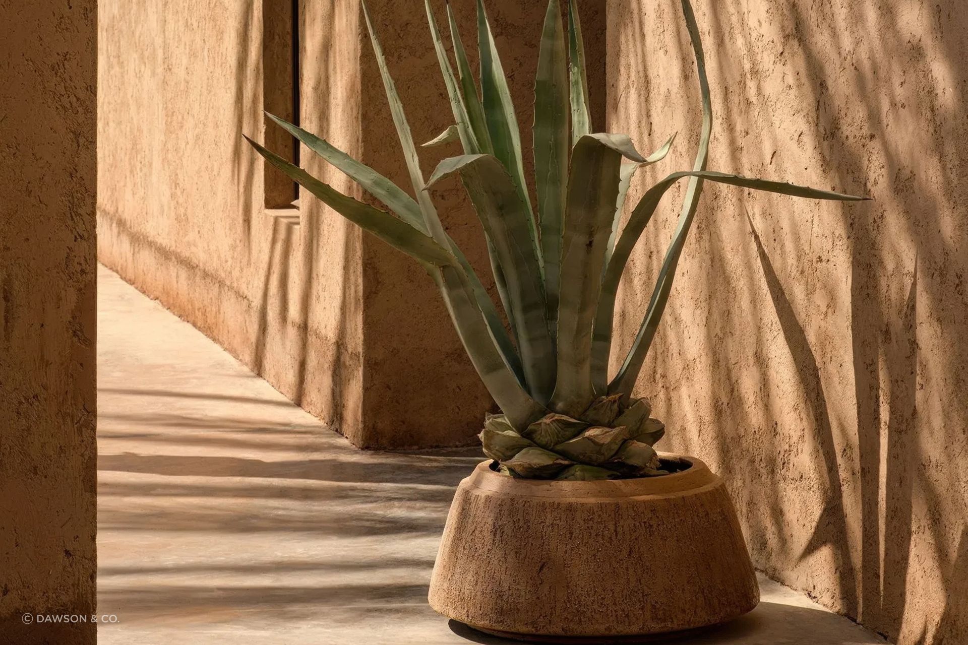 NAGORI Pot by Domani