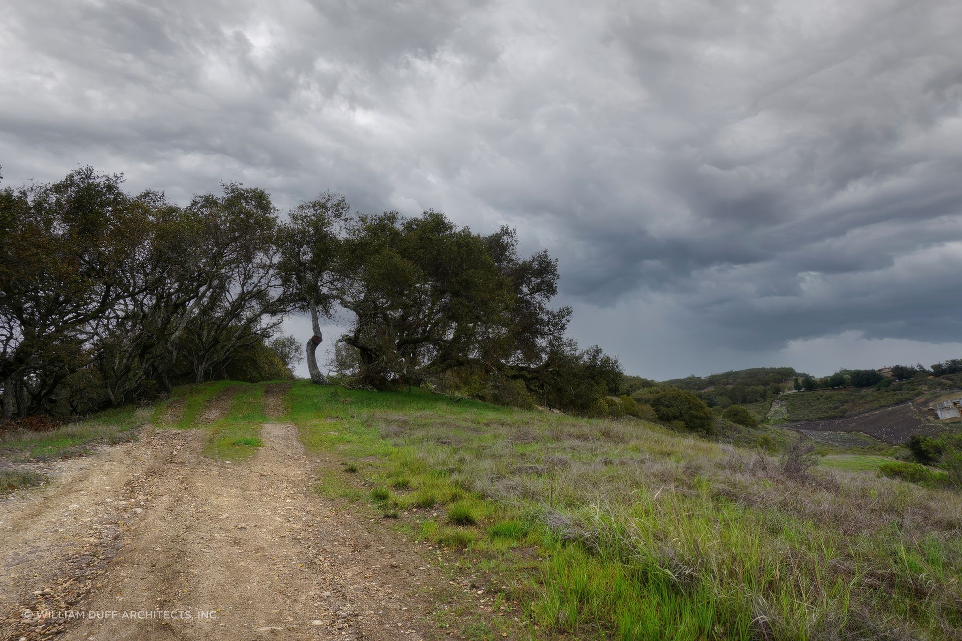 Road-Firebreak-1024x683-upscaled-by-Replicate.jpg