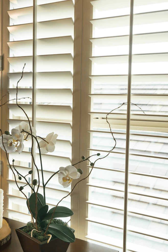 Choosing The Right Shutters