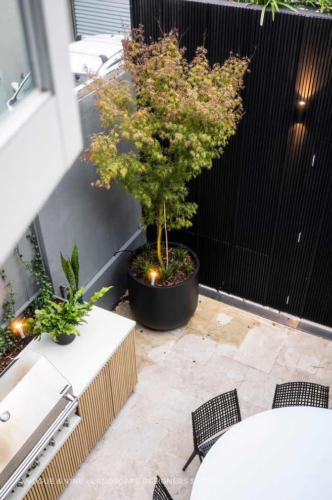 Small-Garden-Design-Sydney-NSW-By-Vogue-Vine.jpg