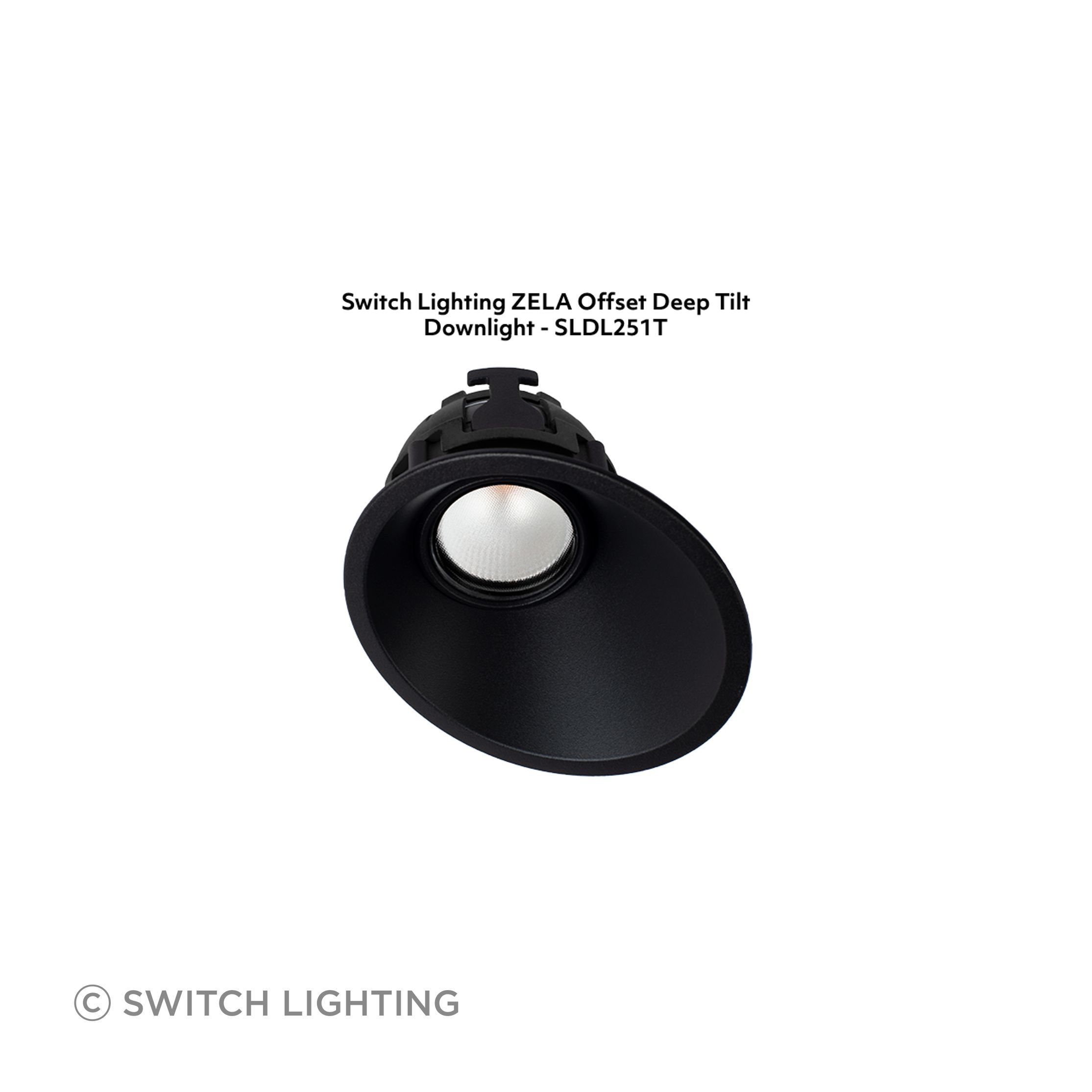 Switch-Lighting-luminaire-4-SLDL251T-v3.jpg