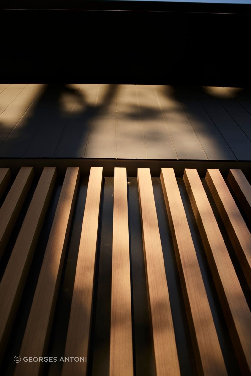 Untitled-design-2-v2.jpg