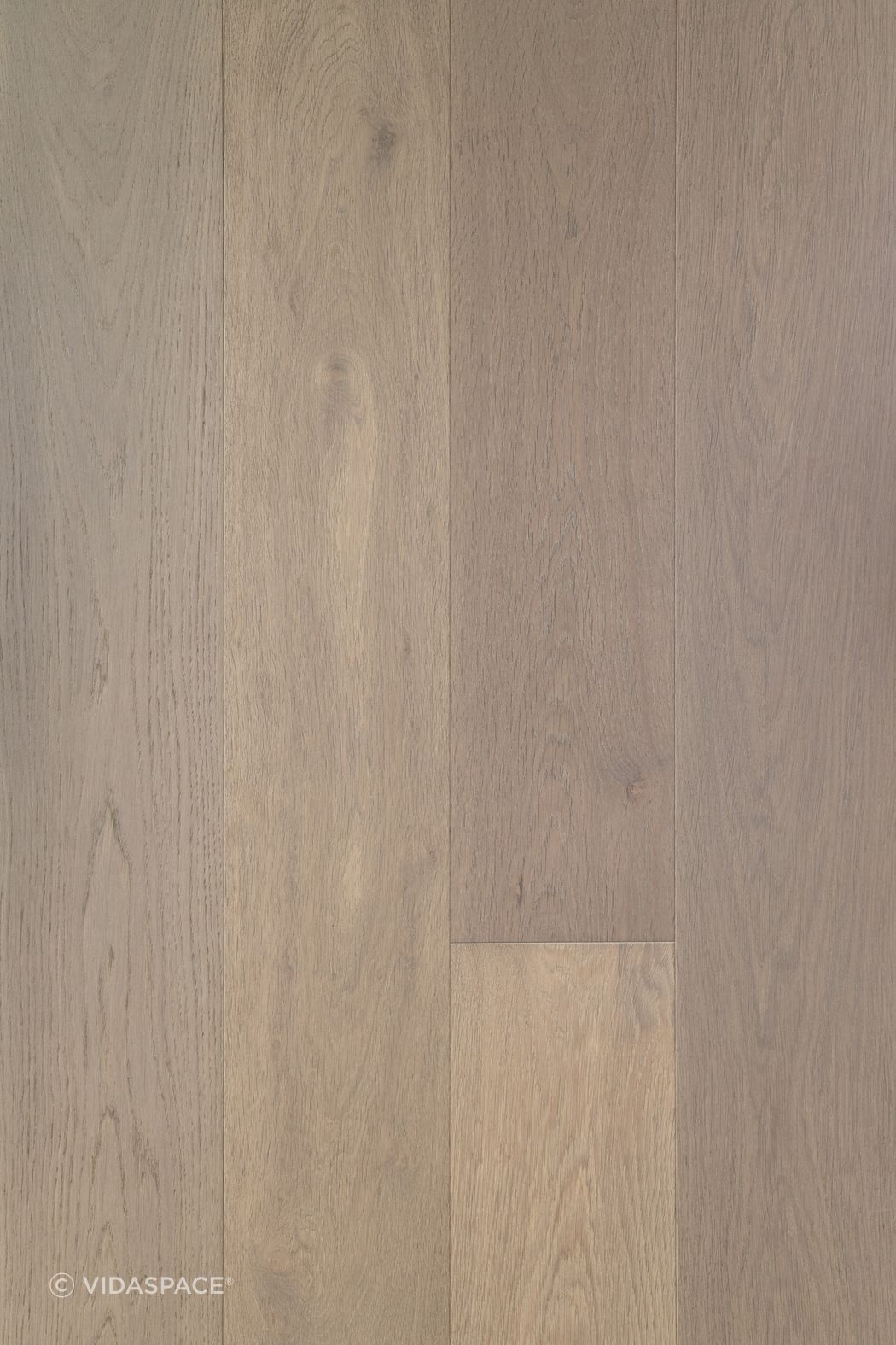 VS5303-VETRA-TRUNK.jpg