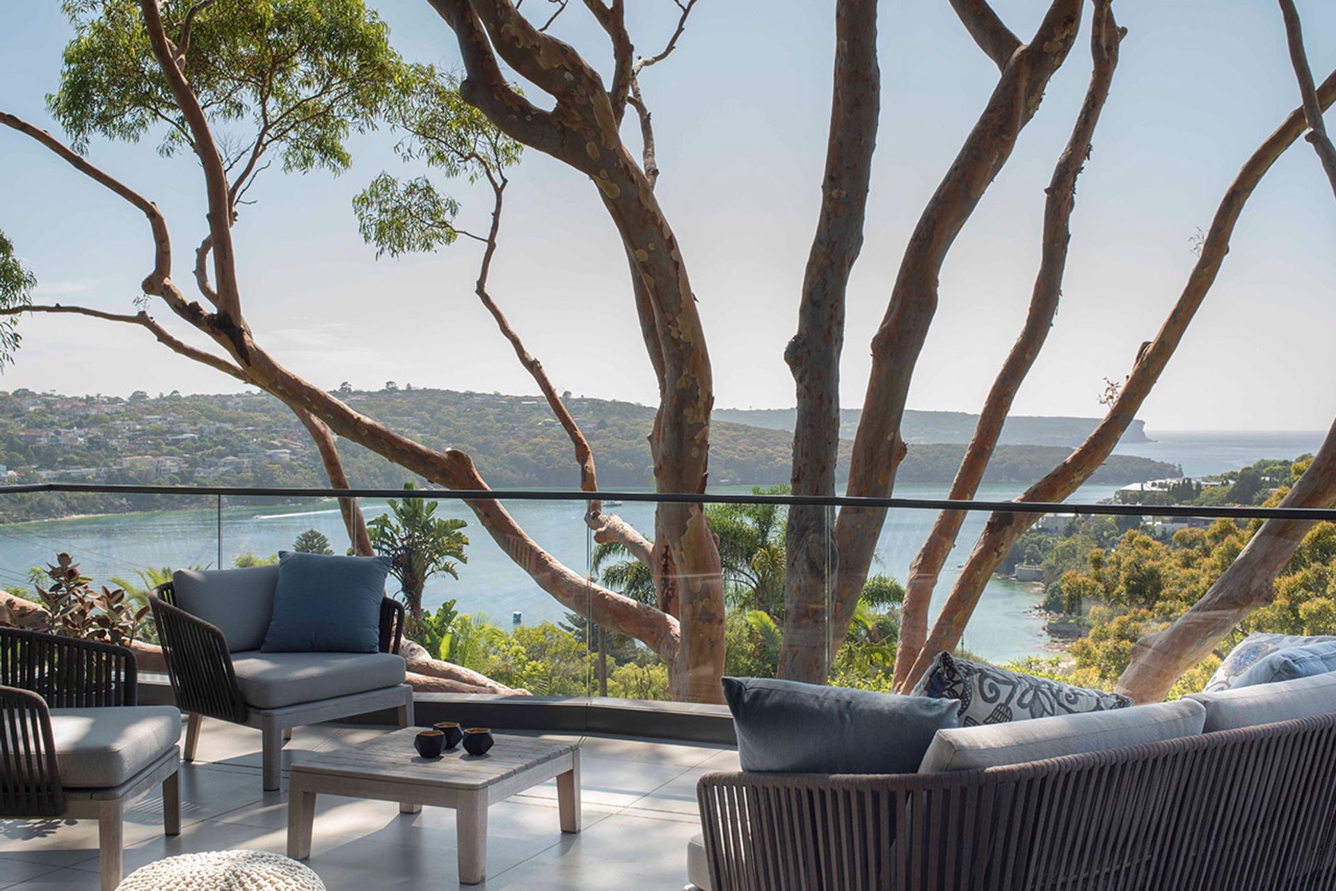 Why it’s time to stop throwing shade at trees