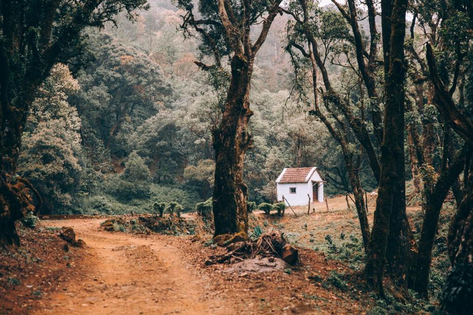 Tiny Houses and the Future of Young People