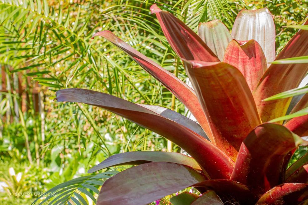 gardens12-ap-compressed.jpg