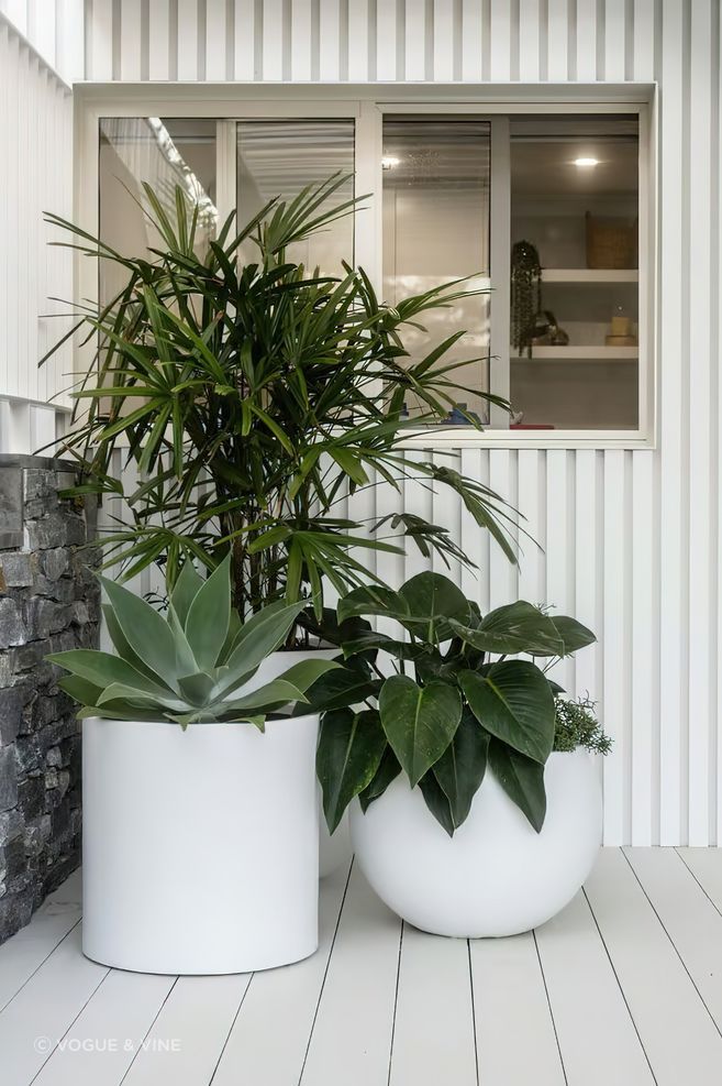 imgi13Backyard-garden-design-in-Coogee-By-Vogue-Vine-1-scaled.jpeg