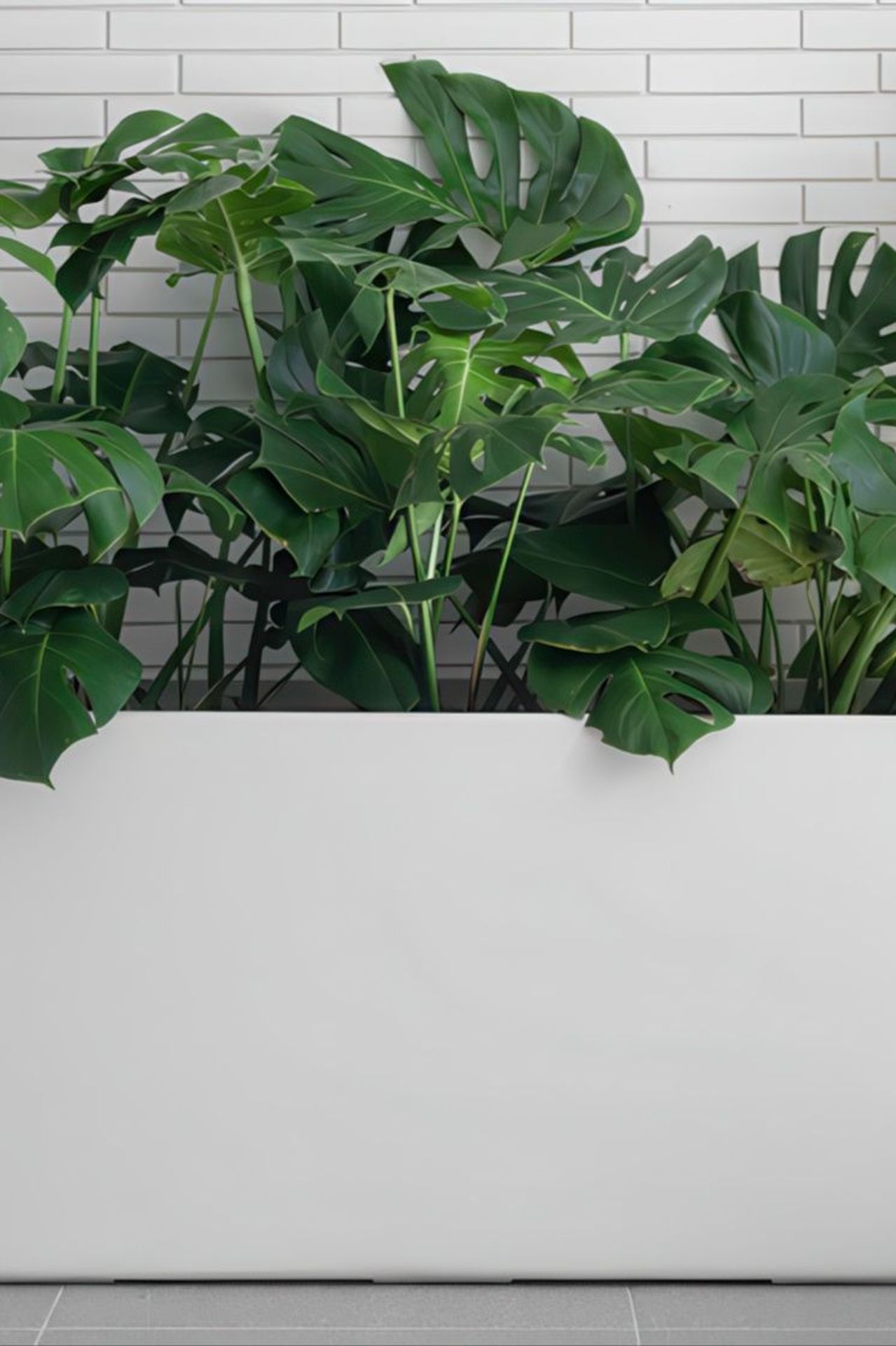 32de6db0f009-Hibernate-ArchiPro-Banner-2-d2c248935x536cropcenter-gigapixel-low-resolution-v2-21x.jpeg