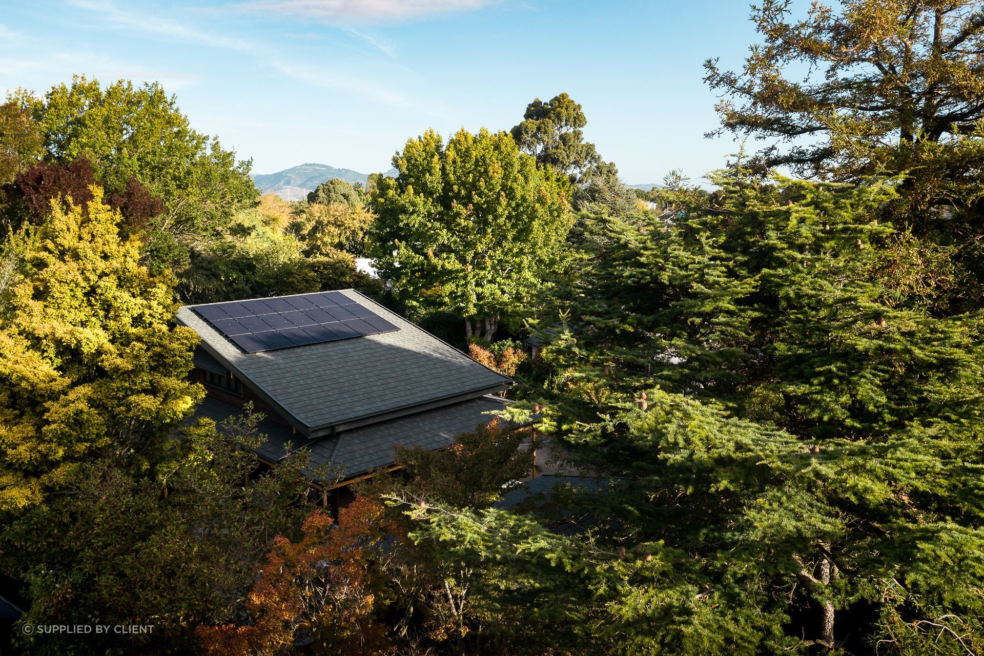 Though the site is positioned in the middle of a suburban area, an established garden creates a tangible sense of peace.
